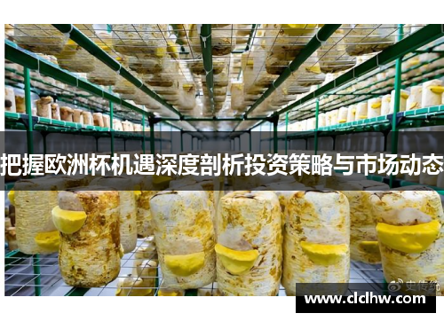 把握欧洲杯机遇深度剖析投资策略与市场动态