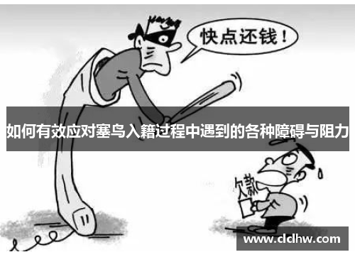 如何有效应对塞鸟入籍过程中遇到的各种障碍与阻力