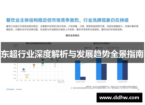 东超行业深度解析与发展趋势全景指南